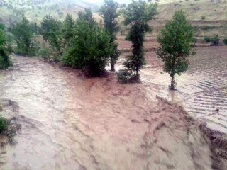 Şiddetli Yağış Sonucu Dereler Taştı
