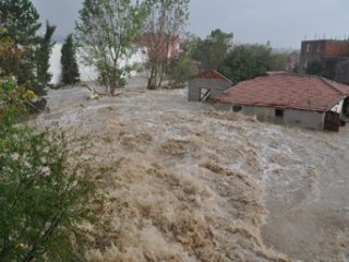 Kastamonu Sele Teslim