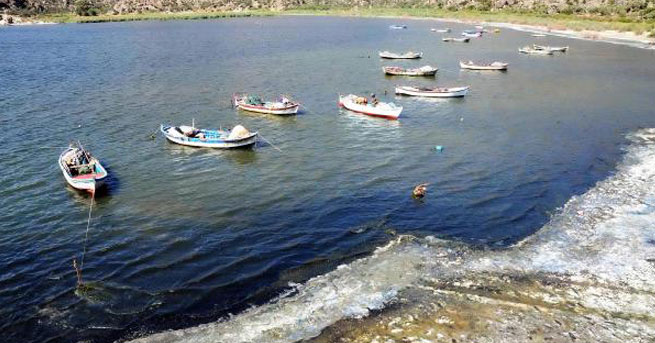 Bafa Gölü İçin Platform Kuruldu