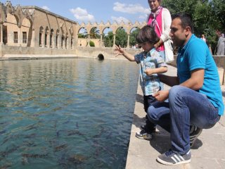 Balıklıgöl’deki Balıkların Diyeti Sona Erdi