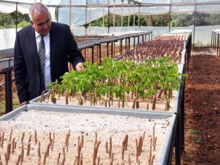 Başkan Tollu'dan Çevre Haftası Mesajı