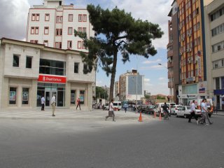 Yol Çalışması Asırlık Ağaca Takıldı