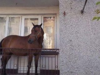 Çalınmasın Diye Balkona Çıkardı