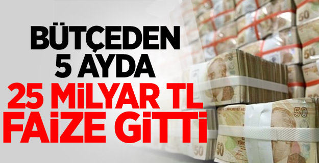 Bütçeden 5 Ayda 25 Milyar Tl Faize Gitti