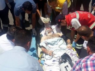 İnek Tepti Beyin Kanaması Geçirdi