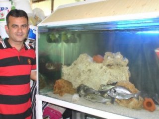 Taze Balık Yemek İçin Bakın Ne Yaptırdı