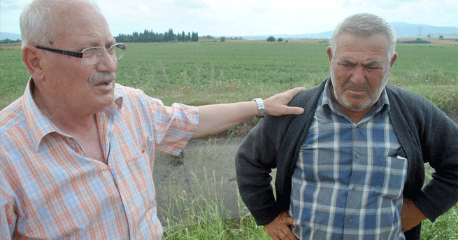 Domates Tarlasını Dolu Vurunca Kalp Krizi Geçirdi