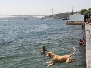 Burası İstanbul! Görenler Gözlerine İnanamadı!