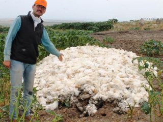 Balıkesir'de Korkunç Manzara!