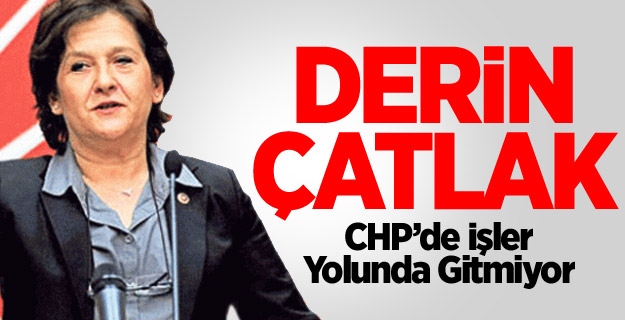 Birgül Ayman Güler'den CHP'yi Sarsacak Açıklama