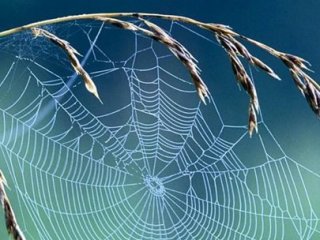 Çelik Zırhtan Daha Kuvvetli