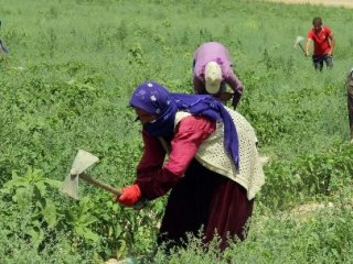 İşçilerin Ramazan’da Sıcakla İmtihanı