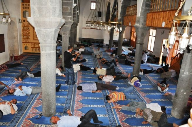Camilerde Uyutan Serinlik