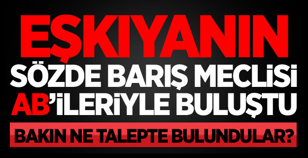 Öcalan'a Övgü, AK Parti'ye Eleştiri