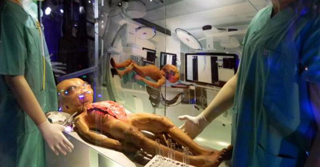 'Yetkililer Ciddi Adımlar Atsın'