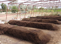 "Solucan" Deyip Geçmeyin