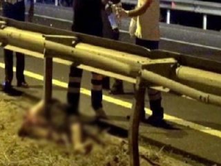 Mersin'de Parçalanmış Erkek Cesedi Bulundu