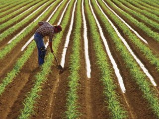 Çiftçinin Şirketi SPK Denetiminden Çıkarıldı