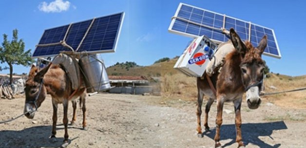 Eşek sırtında güneş enerjisi üretiyorlar