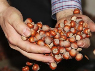 Bir Türk Devi Daha Satıldı