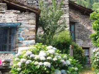 İnternetten Satılık Köy