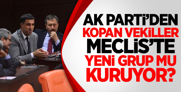 Merkez Parti Meclis'te Grup Kurmak İstiyor