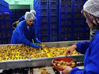 Çinli Sevdi, İhracatta Rekor Geldi
