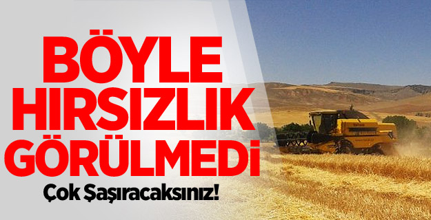 Akıllara Durgunluk Veren Hırsızlık!