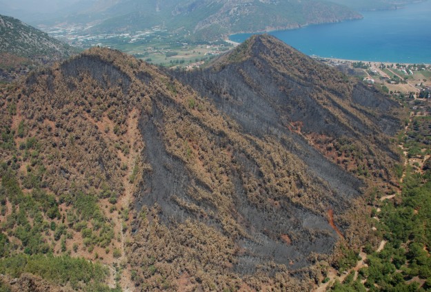 Adrasan'daki Orman Yangınıyla İlgili Suç Duyurusu