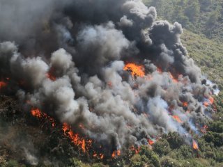 Milas'ta Çöplük Yangını Korkuttu