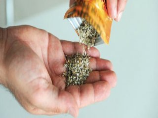 Zehir Dört Bakanlığı Harekete Geçirdi