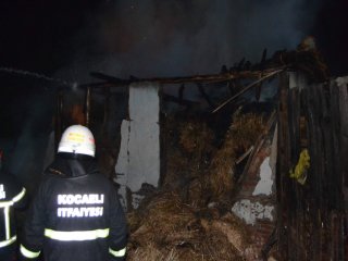 Ahıra Yıldırım Düştü