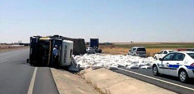 Mardin'de 'Eşek Arısı' TIR'ı Devirdi!