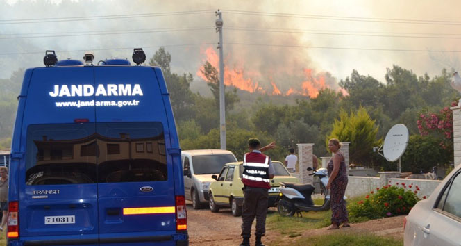 Ayvalık’ta Orman Yangını