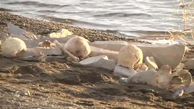 Sular Çekildi Ortaya Tarih Çıktı