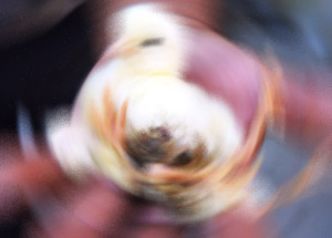 Görenleri Şaşkına Çeviriyor