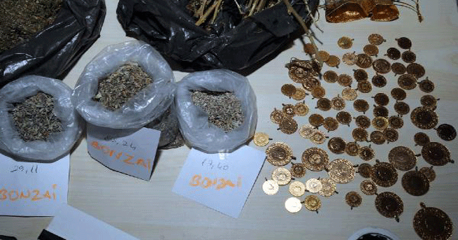 Şişli'de Bonzai Operasyonu