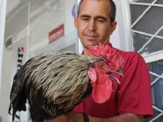 Horozu BİMER'e Şikayet Ettiler