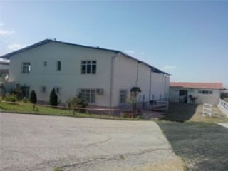 Bakana Getirilen Atın Değerine Bakın!