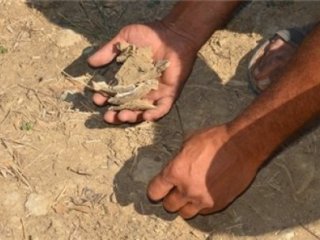 99 Yıl Sonra Gün Yüzüne Çıktı