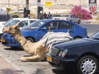 O Ülkeden Sıradışı Fotoğraflar