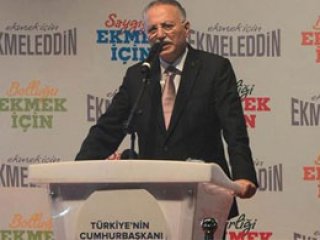 Ortada Şişko Kediler Var!