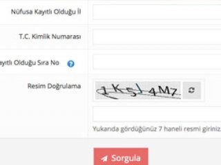 Nerede Oy Kullanacaksınız?