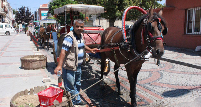 Faytoncuların Sıcakla İmtihanı