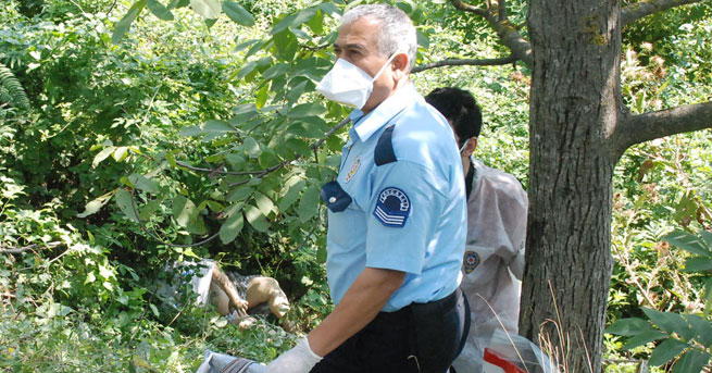 Başını Taşla Ezip, Cesedini Attılar