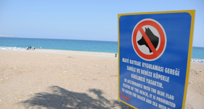 Artık Köpek de Yasak