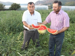 Eğitimli Çiftçi Herkese Örnek Oluyor