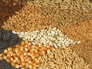 Yerli Tohum 145 Bin Tondan 743 Bin Tona Ulaştı