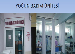 "Bir Gecede 8 Ölüm" Soruşturulacak