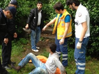 Bonzai Ölümlerinde Korkunç Tablo